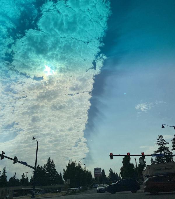 Images found in nature that are truly baffling