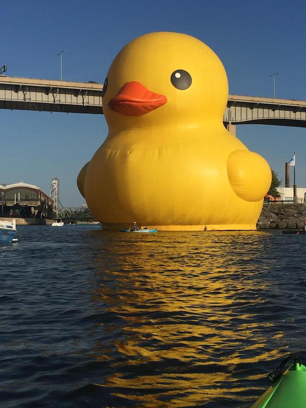 Images found in nature that are truly baffling