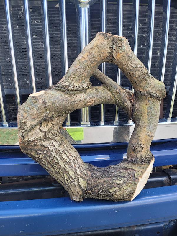 Images found in nature that are truly baffling