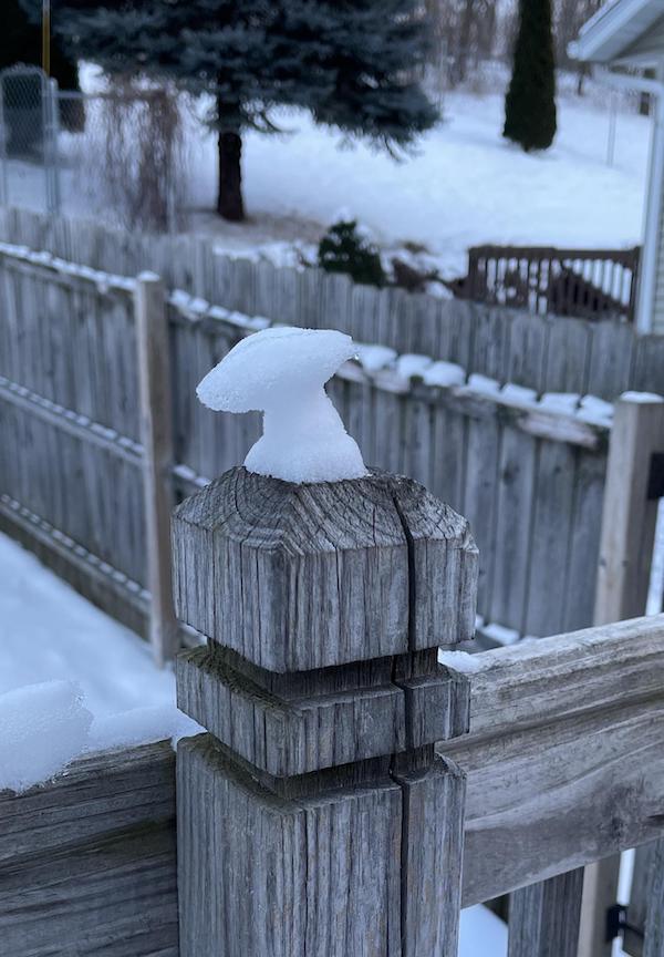 Images found in nature that are truly baffling