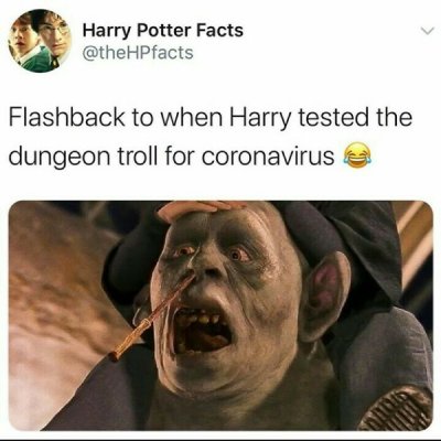 MEME HUMOR — Harry Potter Memes For Wizards Who Still Hate