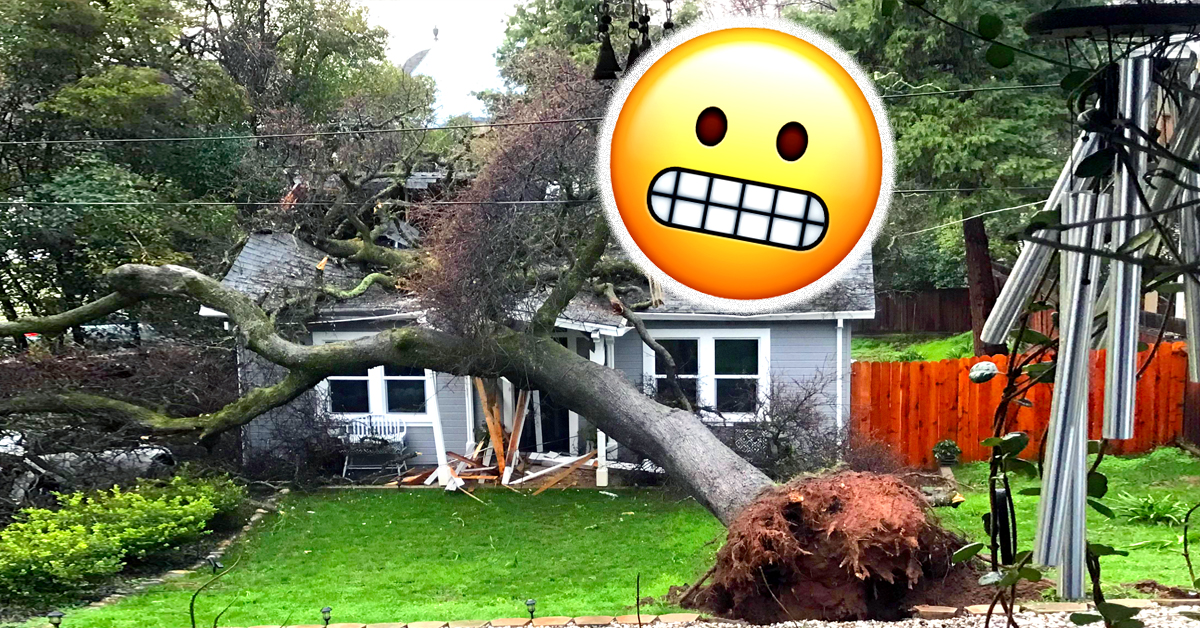 Unfortunate House FAILs TheCHIVE Humor Funny Pictures unfortunate-house-fails-thechive-humor-funny-pictures