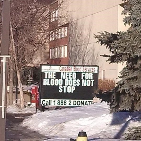 Bizarre signs that make little to no sense