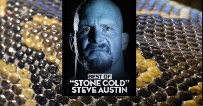 5 Iconic 'Stone Cold' Steve Austin Moments in Honor of '3:16 Day