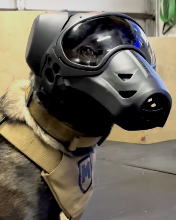 NEW K-9 Protective ARMOR Gear DARK FIGHTER Helmet Photos GIFs Taz Dog