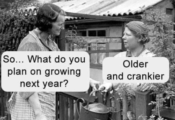 So... Getting Old Sucks