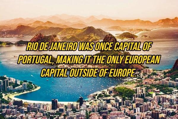Random Facts Tickle My Fancy
