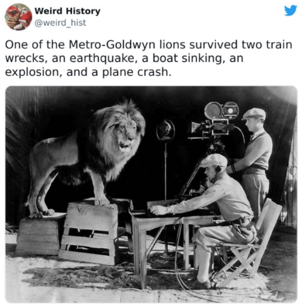 The most WTF weird facts about history you never knew (28 Photos)