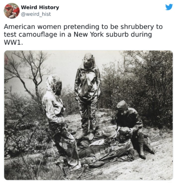 The most WTF weird facts about history you never knew (28 Photos)