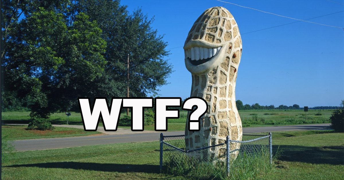 Wtf Tree Image None of these bizarre images make an ounce of sense