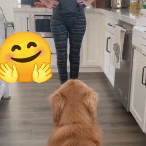 Good boy sees his mom standing up after two years in a wheelchair