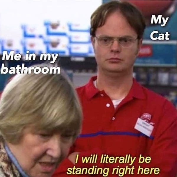 "The Office" memes worthy of a Dundie Award (30 Photos)