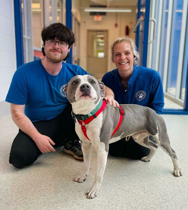Rescue pets that will warm even the coldest of robot hearts
