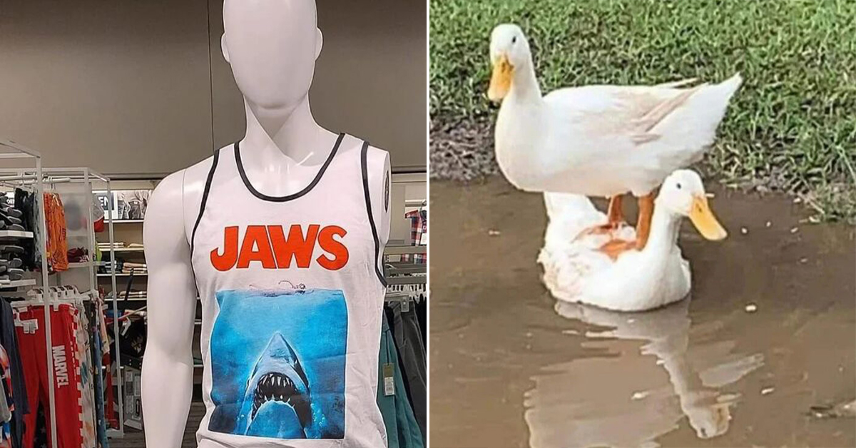 These random things are definite headscratchers