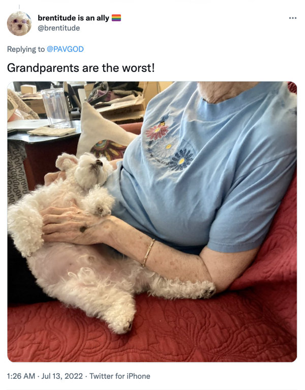 Grandparents spoiling dogs is a heartwarming overload of joy