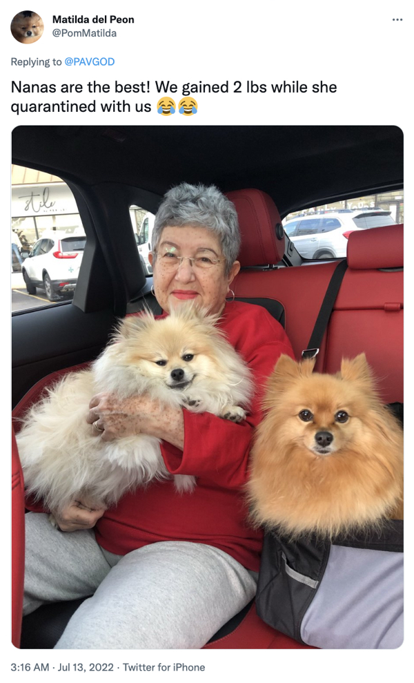 Grandparents spoiling dogs is a heartwarming overload of joy