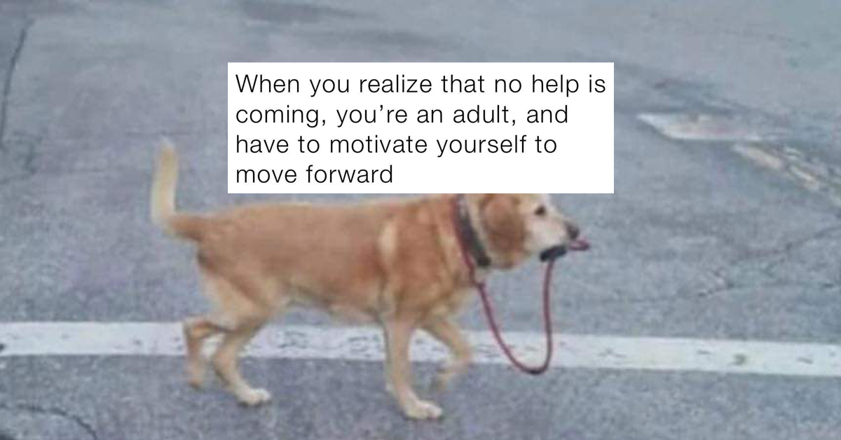 Adulthood memes to soothe the pain