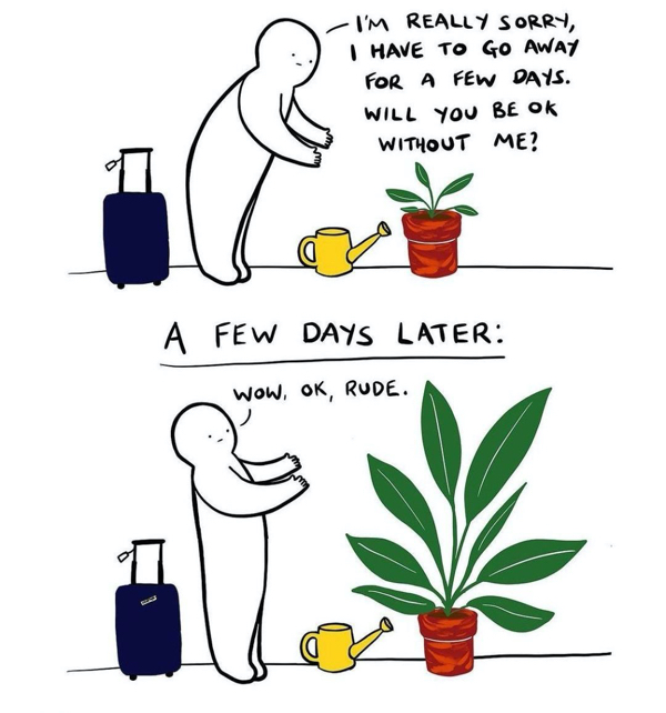 Plant jokes that will make your green thumb giggle