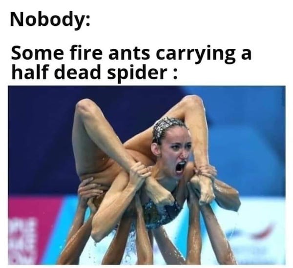 Get your week started with some filthy memes