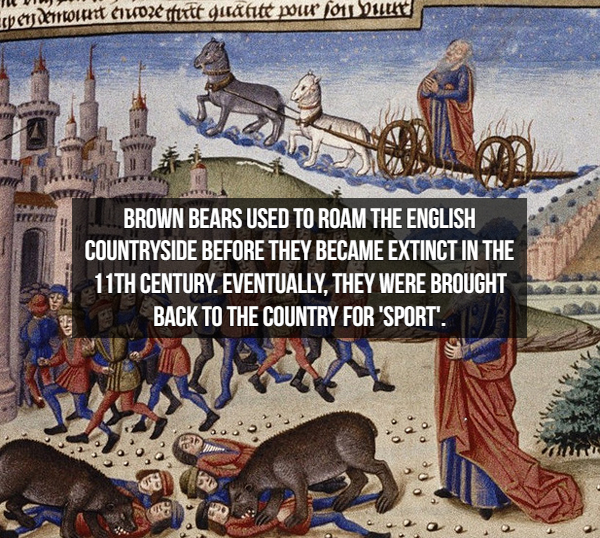 A Little Look At Life 700 Years Ago a-little-look-at-life-700-years-ago