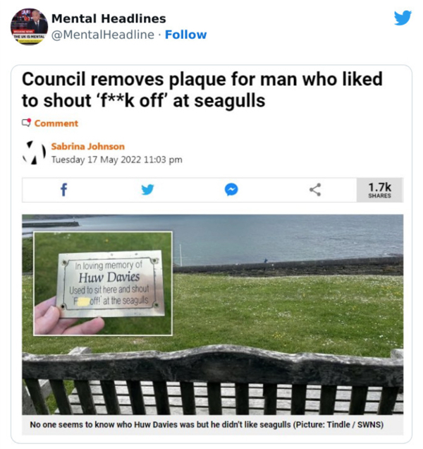 Hilarious headlines that are too funny to be real