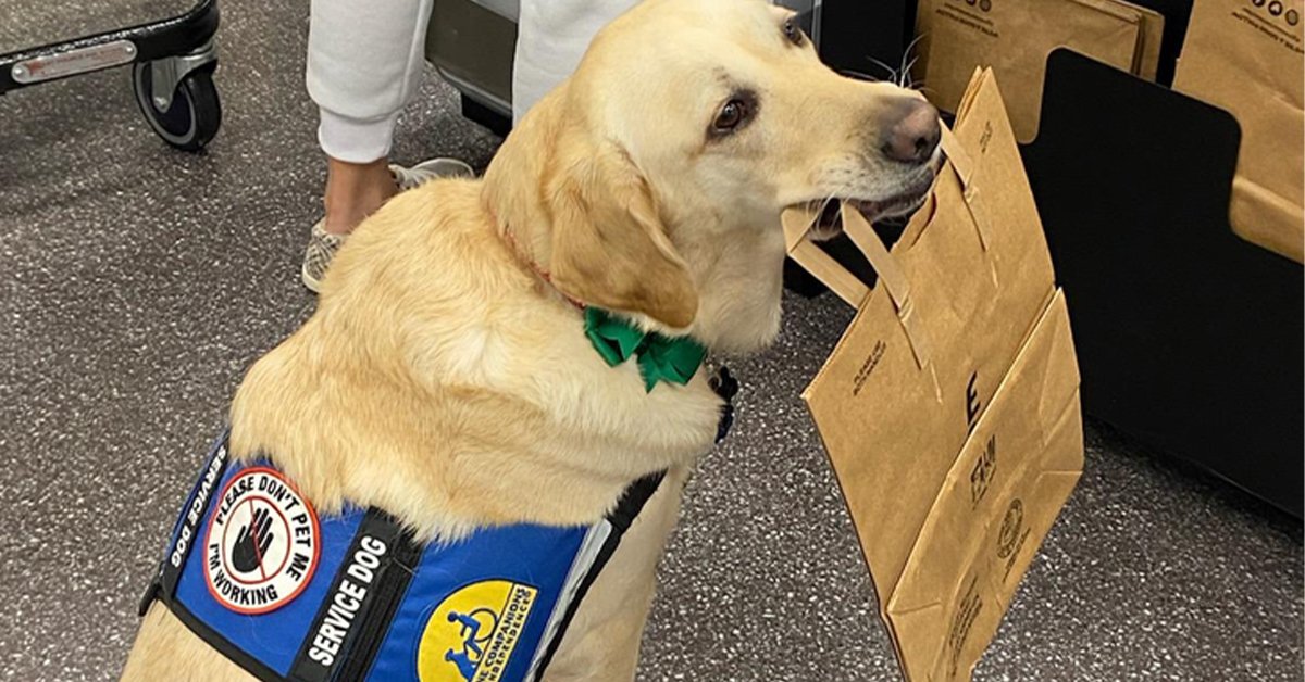 Animals showing that they're inherently good beings