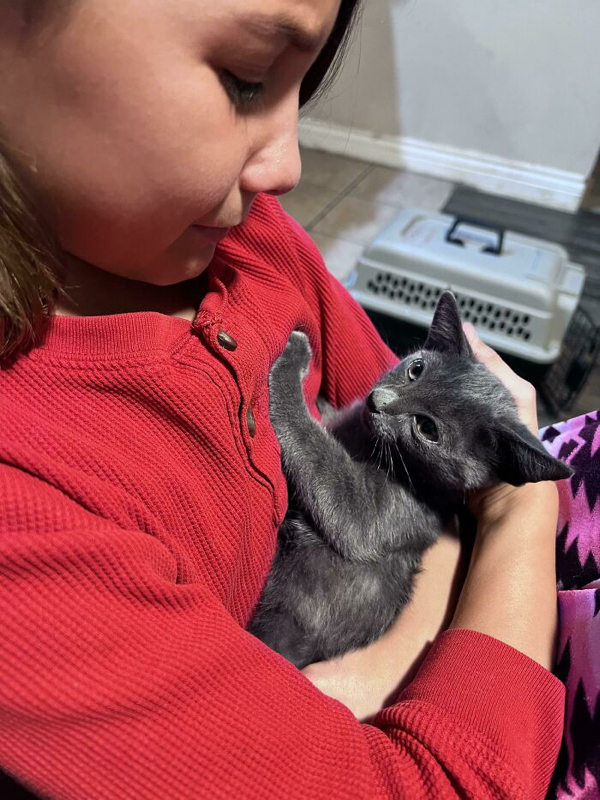 Rescue pets that found a new home and a whole lot of love