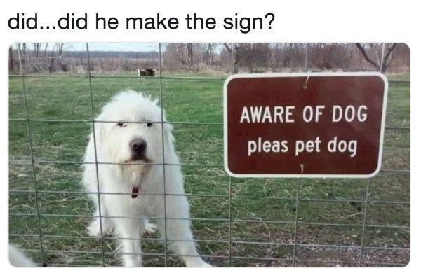 dog-meme-pet-sign-1546528764.jpg