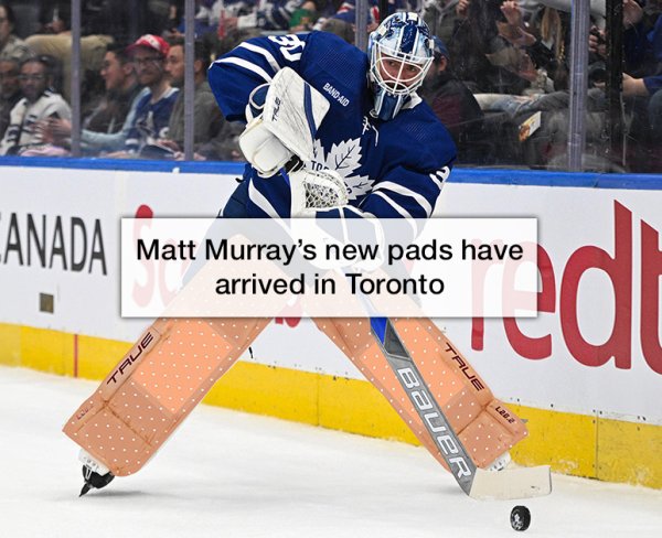 fuck the bruins and their fans : r/NHLMemes