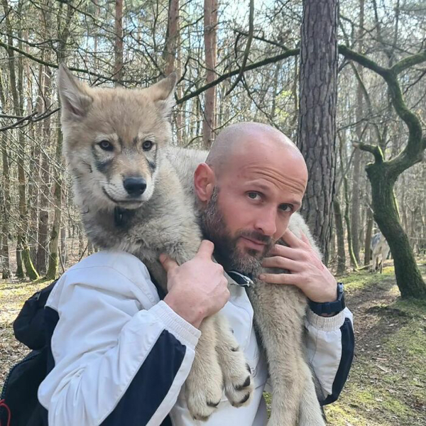 Gentle giant wolf dogs that deserve all the treats in the world