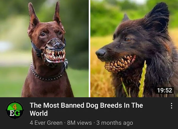 The funniest and most ridiculous thumbnails from around the internet