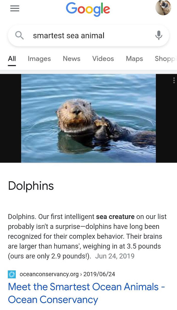 The funniest and most ridiculous thumbnails from around the internet