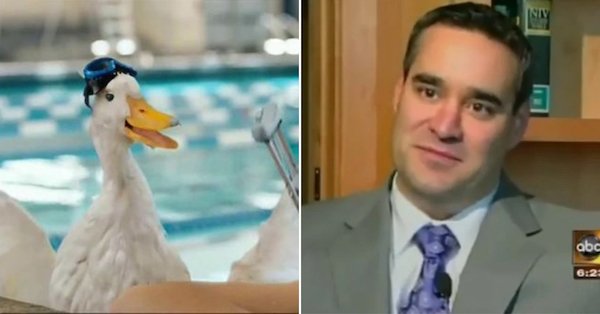 Afp Duck The faces behind some of the most iconic voices