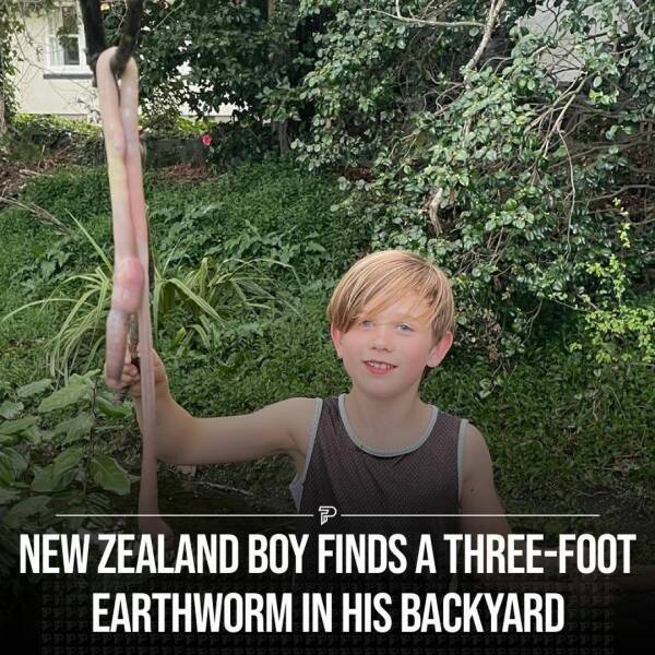 Random things and objects that are enormous in size