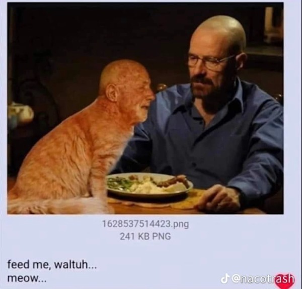 Strange and unexplainable questions that are real head scratchers.