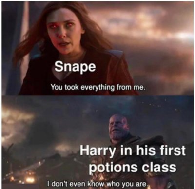 Harry Potter and the Chamber of Memes 
