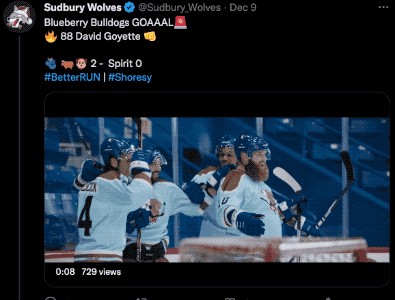 Game 25 Highlights: Spirit @ Blueberry Bulldogs - Sudbury Wolves