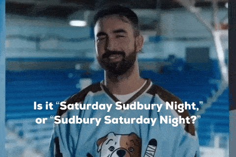 Shoresy Night : Letterkenny spinoff gets a real hockey team