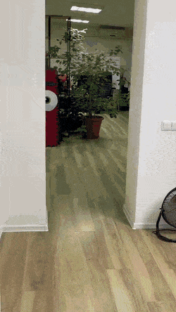 daily_gifdump_4214_15.gif
