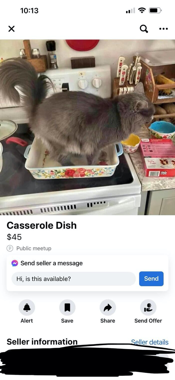 Insane online marketplace listings that actually, somehow, exist