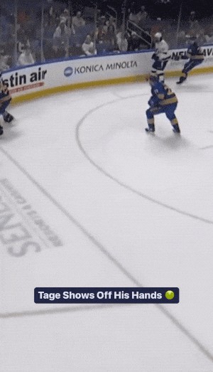 Looking for the Blues 2022 - St Louis Blues Hockey Memes