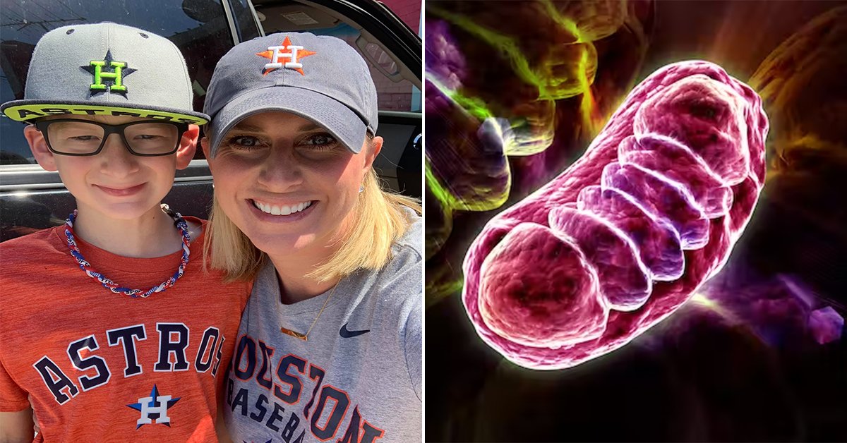 Baseball, a broken nose, and the bad mitochondria (21 Photos)