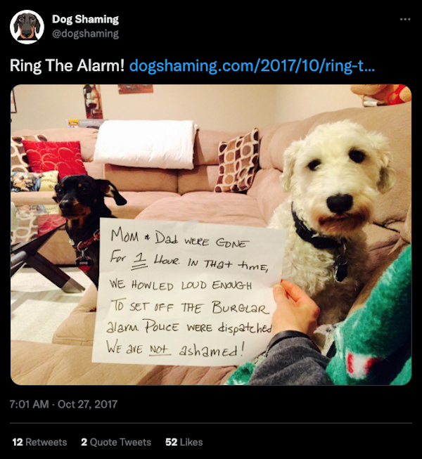 We don't like doing it, but let's shame some dogs