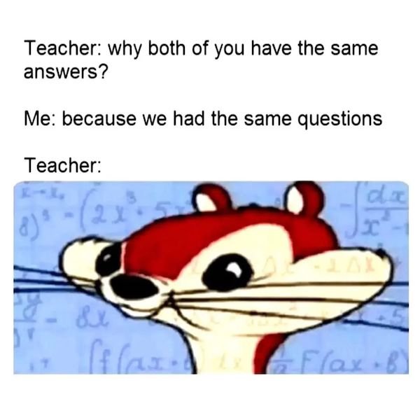 Lesson Meme I've been told you might learn something from these educational memes