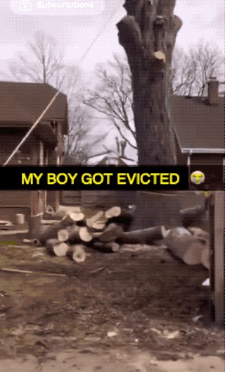 GIFs Funny Stupid People FAILs NEW 2023