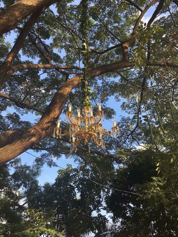 The forest is full of odd, awesome, and creepy things