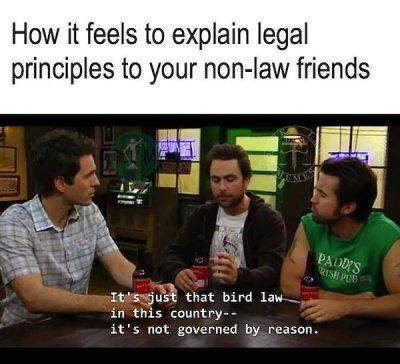 any lawyers out there? These memes are for you