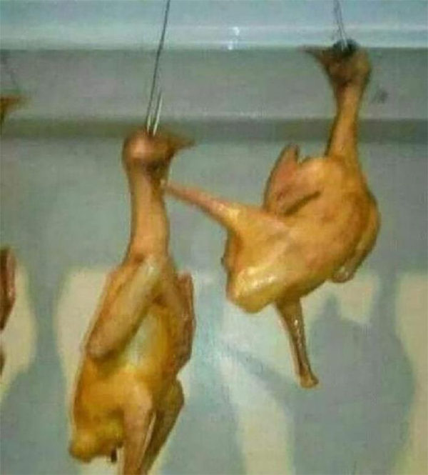 Scary looking food that we won't be getting seconds of