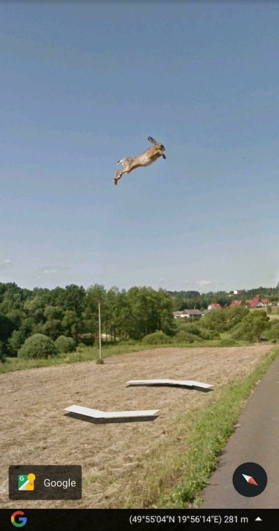 The strangest sh*t people ever spotted on Google Maps (28 Photos)