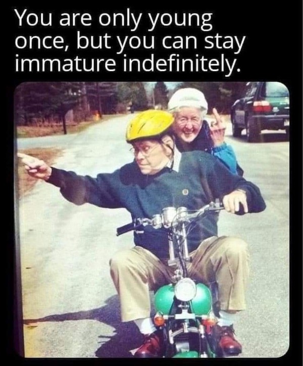 Wis-DUMB Memes for Stupid People Thoughts Photo Captions Bad Ideas